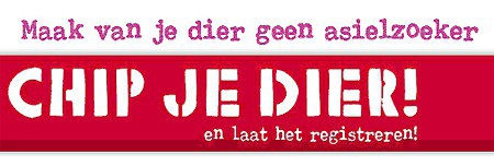 chip je dier