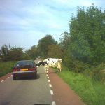 Hulpverlening